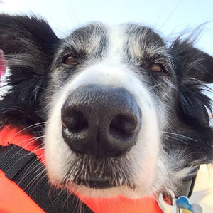 Meet your Posher, Brad